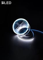 Economic Straight LED Flexible Strip Cool White(10mtr)